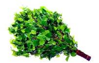 Веники для бани Веники для бани